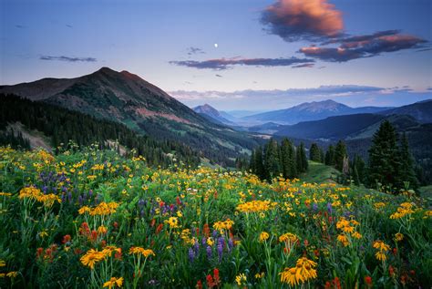 washington gulch.